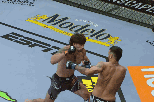 Võ sĩ Mỹ hạ knock-out đối thủ bằng một cú đấm duy nhất lastest-news