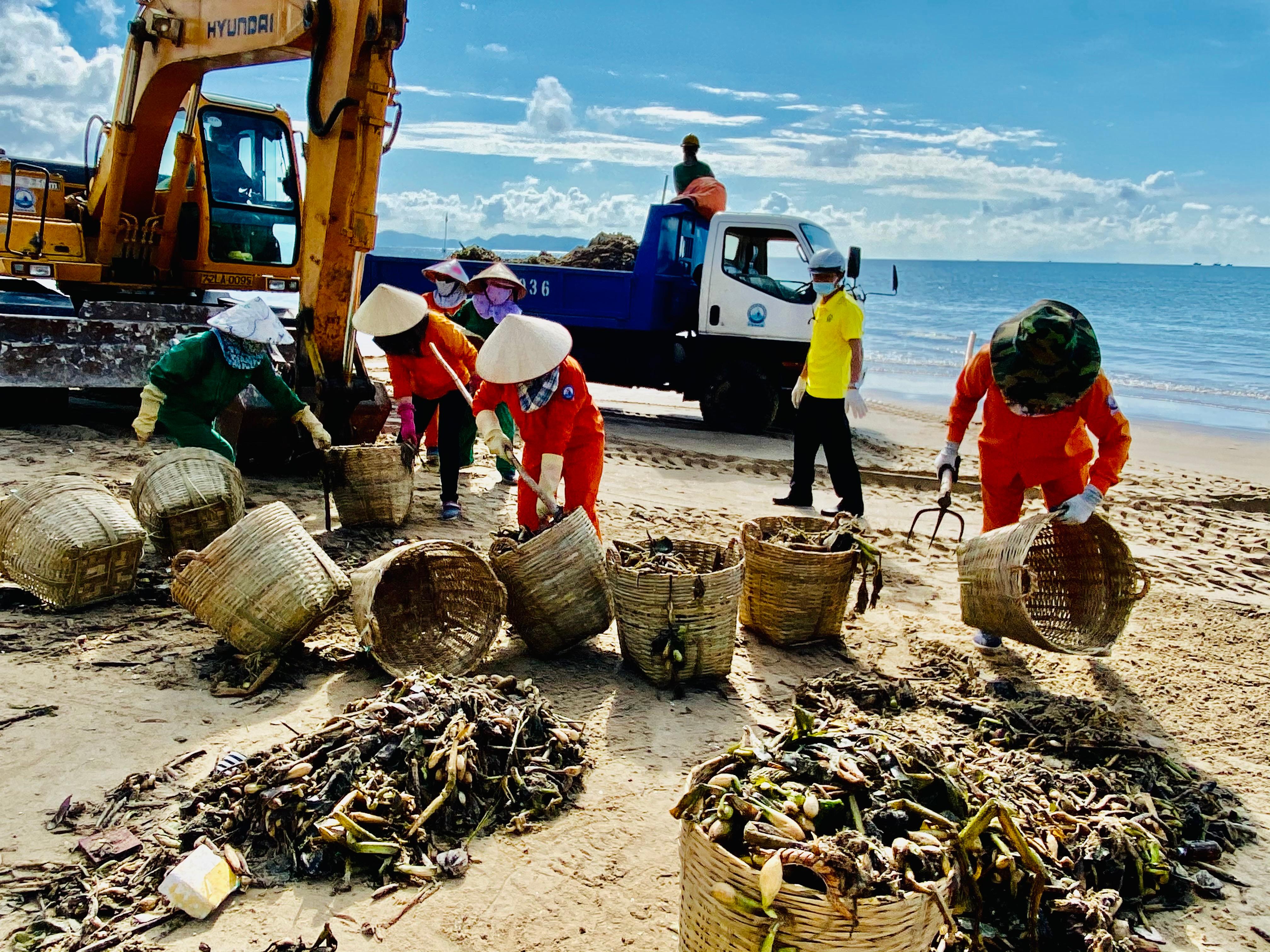 Thu gom 20 tấn rác thải trôi dạt vào bờ biển Vũng Tàu lastest-news