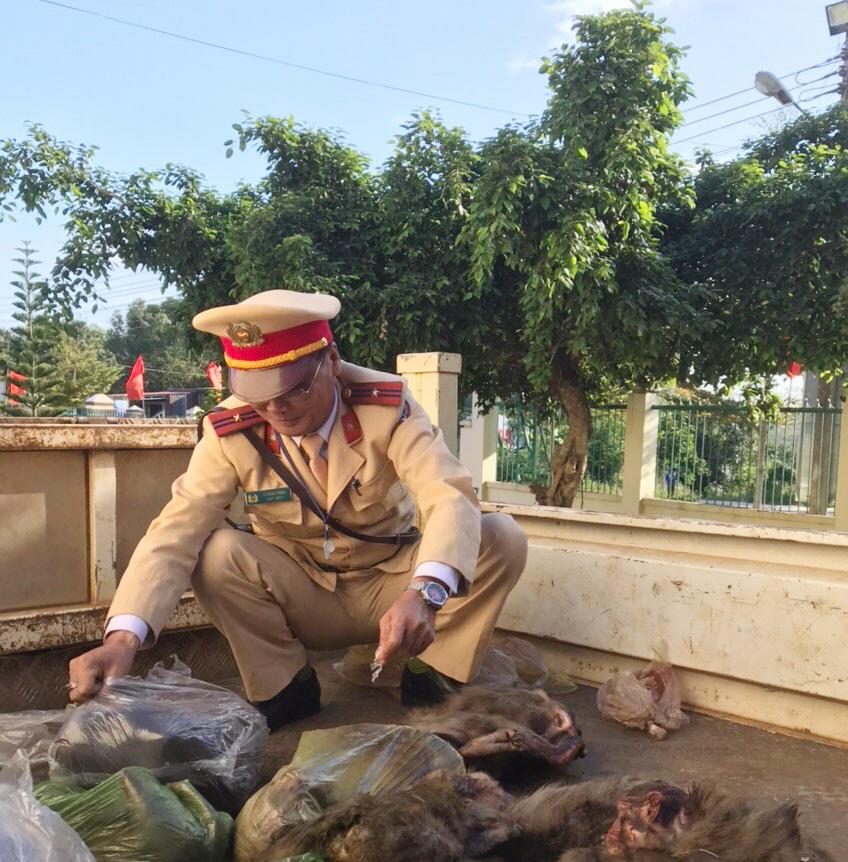 Bắt giữ đối tượng vận chuyển động vật hoang dã trái phép lastest-news